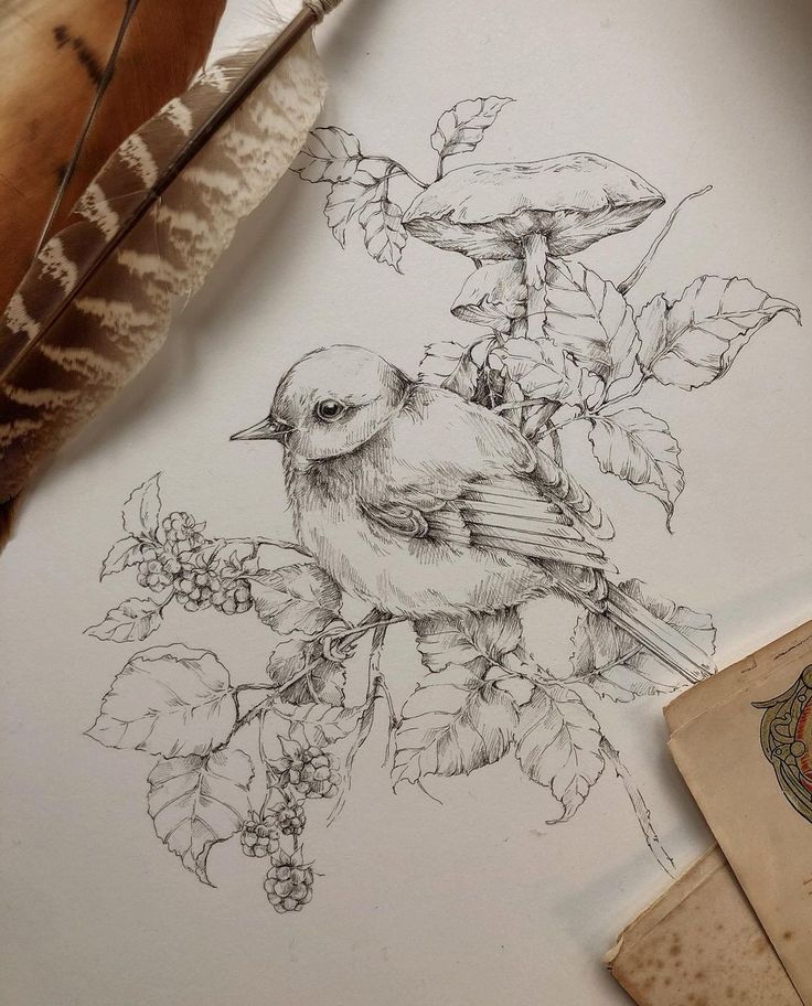 a drawing of a bird sitting on top of a branch with leaves and flowers around it