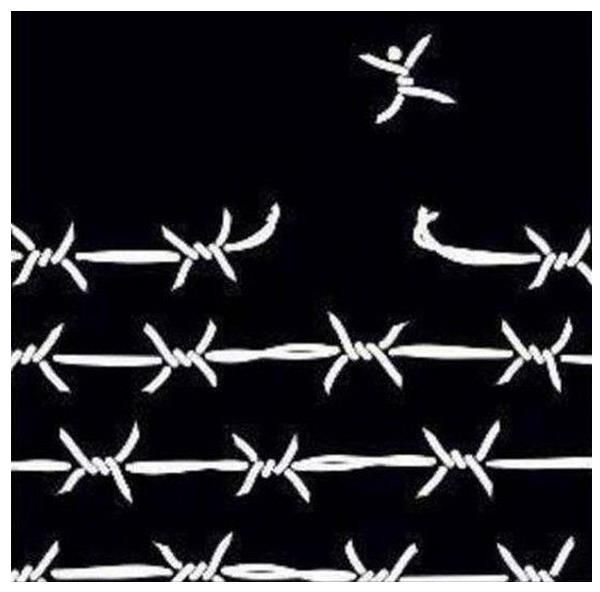 an image of barbed wire with two birds flying over the top and one bird in the middle