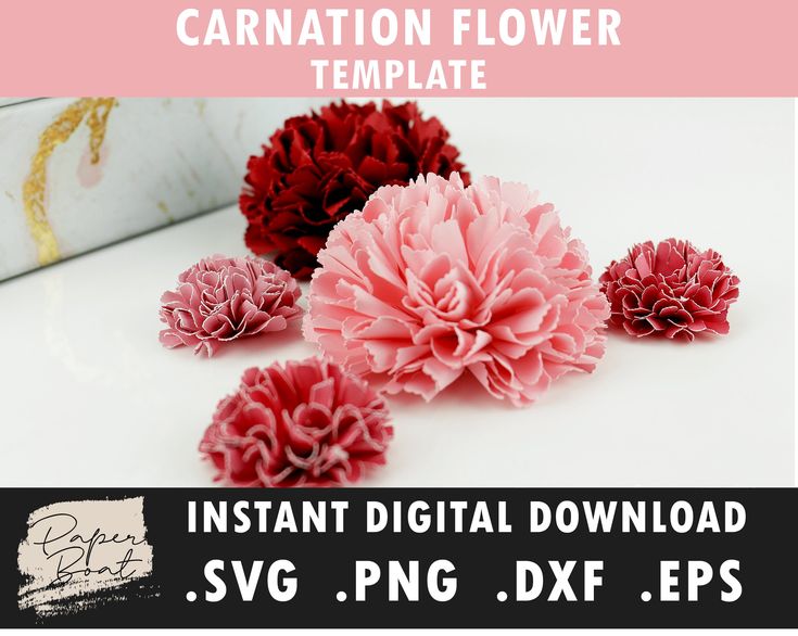 pink and red carnation flowers on white background with text that reads instant digital flower template svg, png, dxf eps