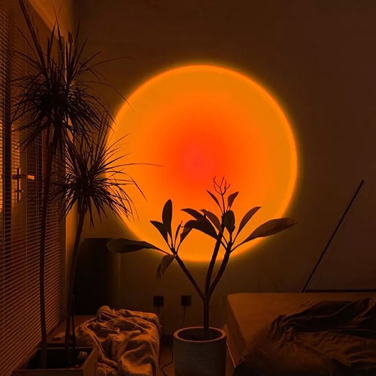 the sun is shining brightly over a bed in a room with two plants and a window