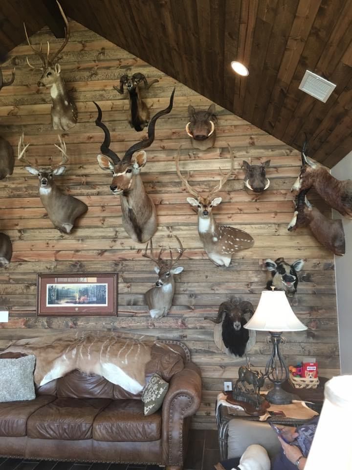 a living room filled with lots of deer heads mounted on the wall above a couch