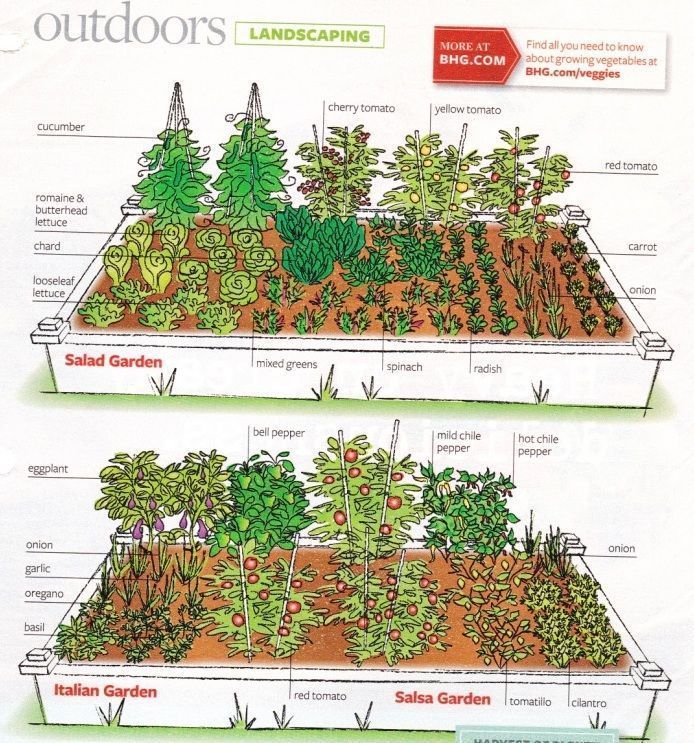 an outdoor garden with different types of plants in it and labeled on the top right side