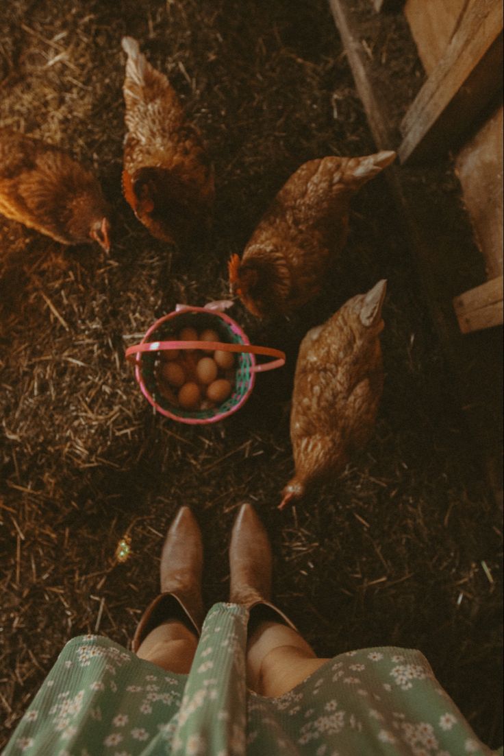 a person standing in front of chickens and eggs on the ground with their feet up