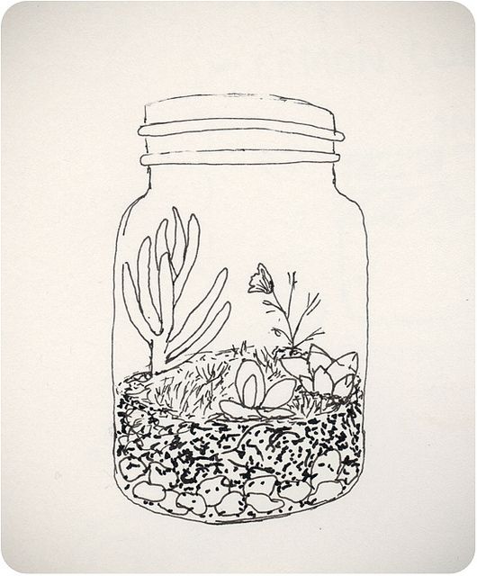 a drawing of a jar filled with plants and rocks