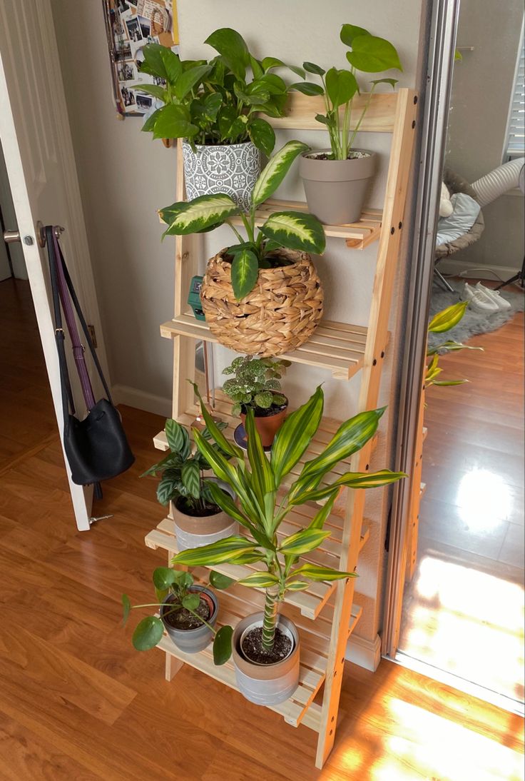 5 tiered wooden ladder shelf filled with a variety of houseplants Shelf With Plants, Shelf For Plants, Cute Shelf, Deco Studio, Decoration Kitchen, Plant Decor Indoor, Cozy Room Decor, House Plants Decor, Room With Plants