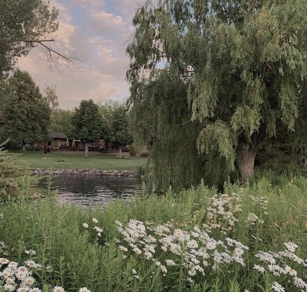 a pond surrounded by trees and flowers