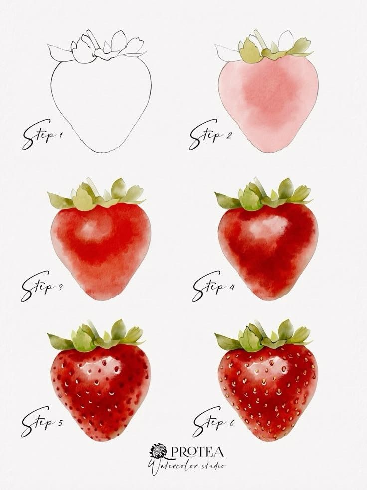 four different types of strawberries are shown in this drawing, with the names and numbers below them