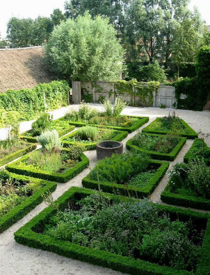 a garden with many different types of plants in the center and bushes all around it