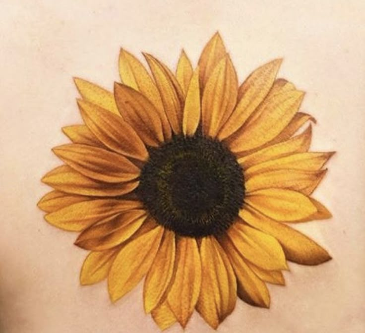 a yellow sunflower on the back of a woman's body is drawn with colored pencils