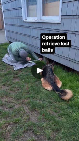 a dog laying in the grass next to a house with an open door on it's side