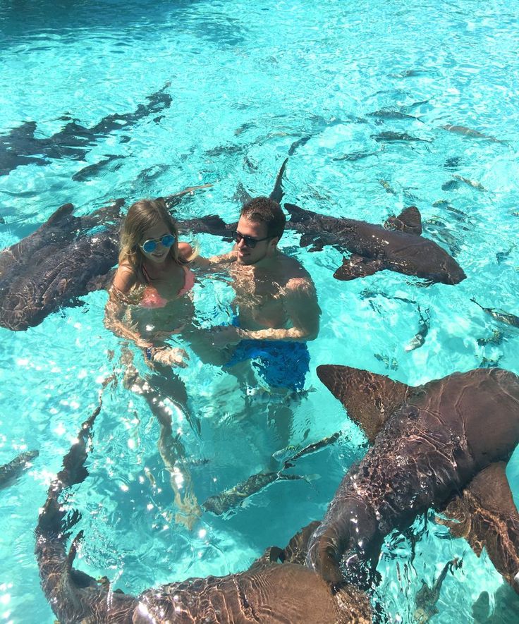 two people in the water surrounded by sharks