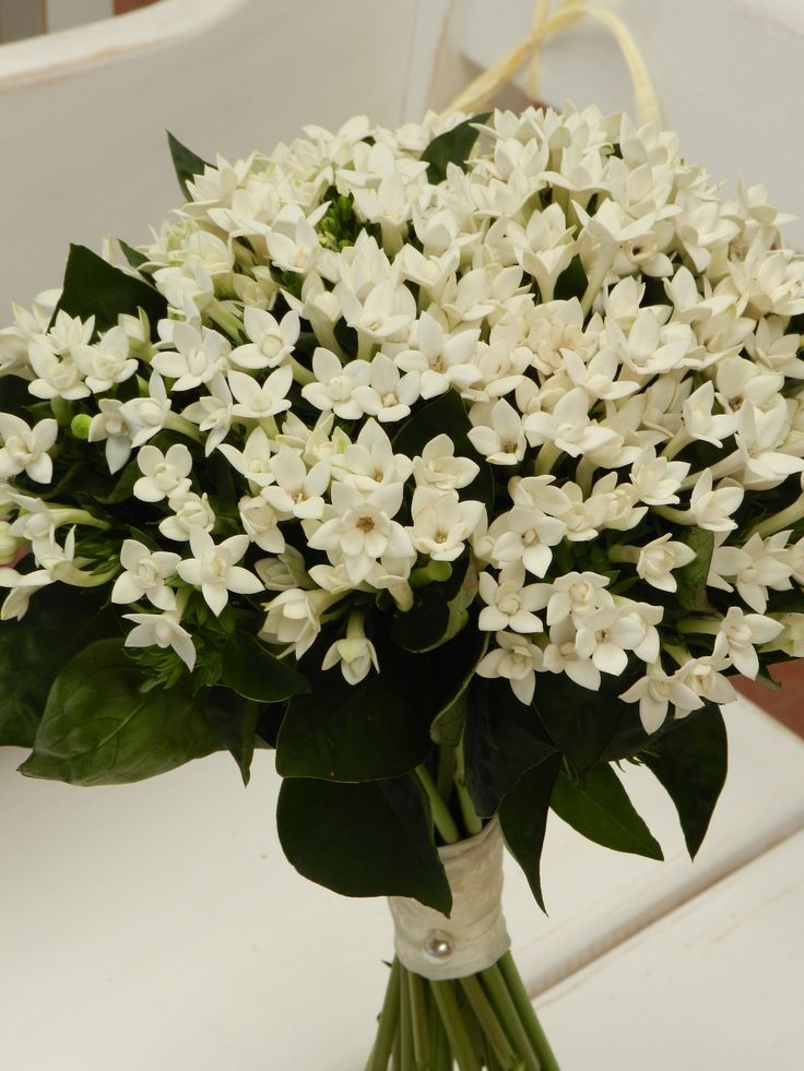 a bouquet of white flowers sitting on top of a table