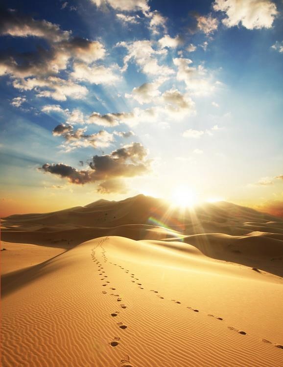 As a single footstep will not make a path on the earth, so a single thought will not make a pathway in the mind. To make a deep physical path, we walk again and again. To make a deep mental path, we must think over and over the kind of thoughts we wish to dominate our lives. ~Henry David Thoreau ..* Desert Sahara, Footprints In The Sand, Desert Sunset, Sahara Desert, Alam Yang Indah, Desert Landscaping, Places Around The World, The Sand, Beautiful Sunset