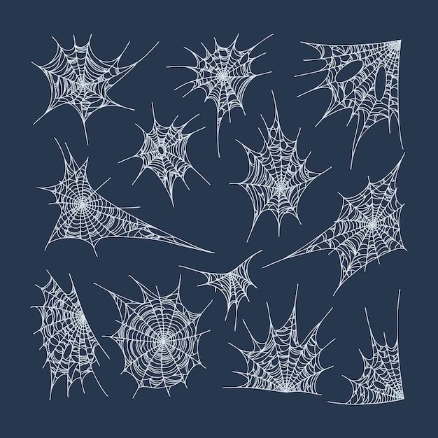 a bunch of spider webs on a blue background