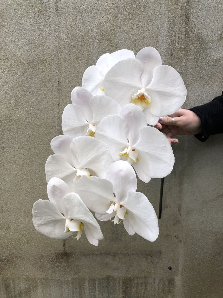 a bouquet of white orchids is held up against a concrete wall by someone's hand