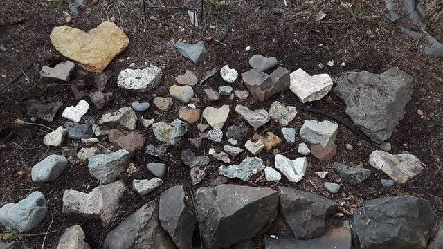 some rocks are laying on the ground and there is no image here to provide a caption for