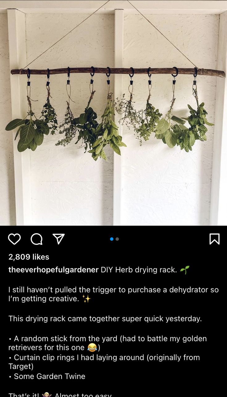 some plants are hanging from the side of a door with words above them that read,