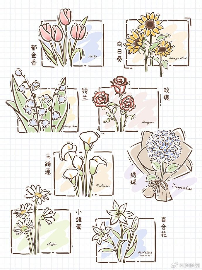 an image of flowers drawn on paper with chinese characters in the background and words written below