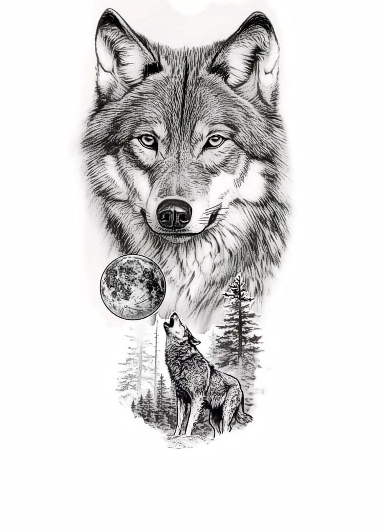 a drawing of a wolf looking at the moon