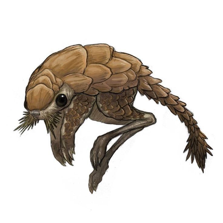 a drawing of an armadile with long legs and claws on it's head