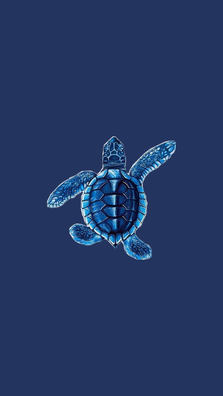 a blue sea turtle swimming in the ocean