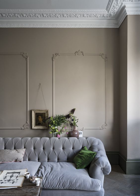 a living room with a gray couch and potted plants on the wall next to it