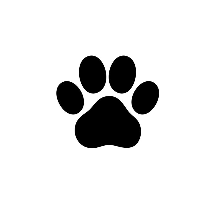 an animal paw print on a white background