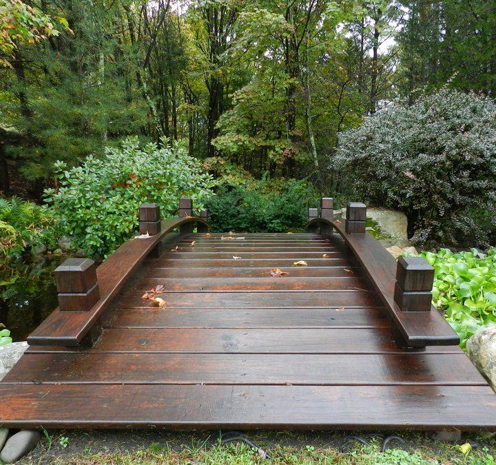 a wooden walkway in the middle of a lush green park with lots of trees and bushes