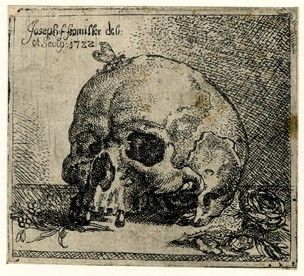 a drawing of a human skull and two skulls