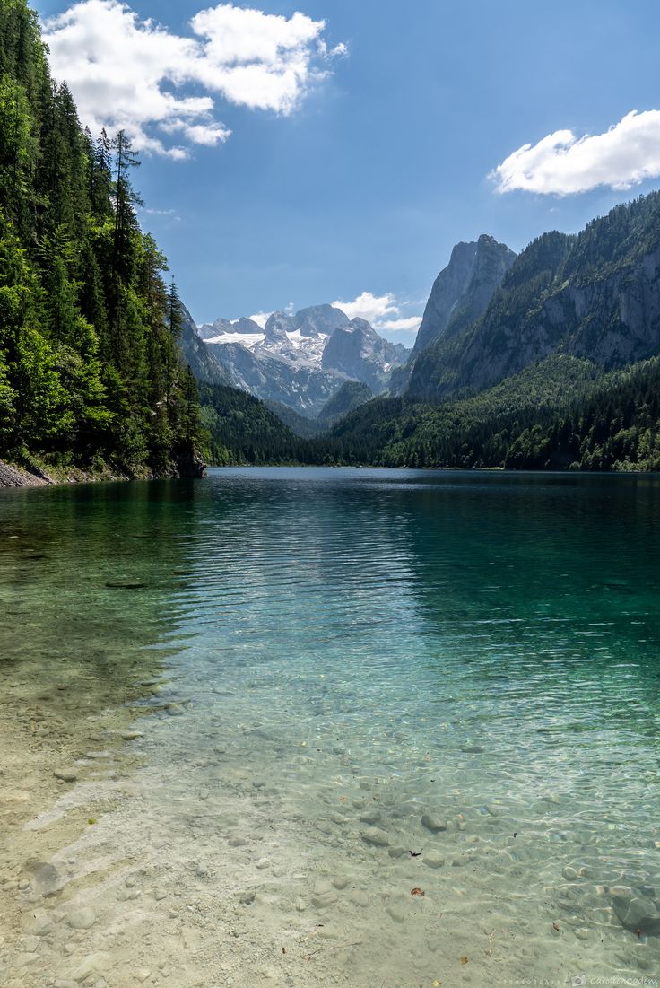 clear water with mountains in the background on a sunny day, surrounded by green trees