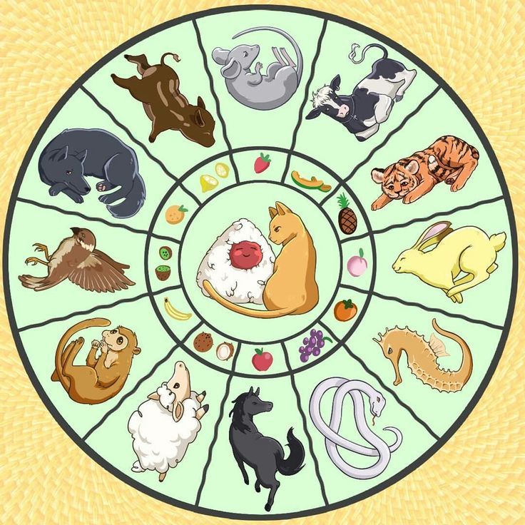 a circle with different types of animals on it