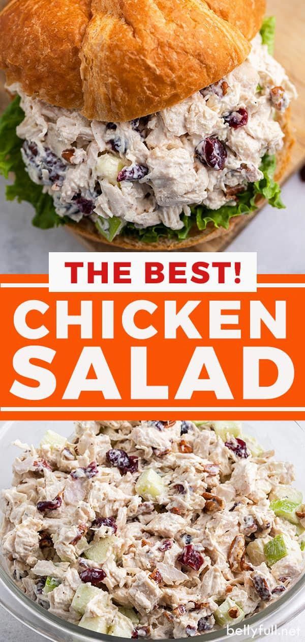 chicken salad with cranberries and lettuce in the middle