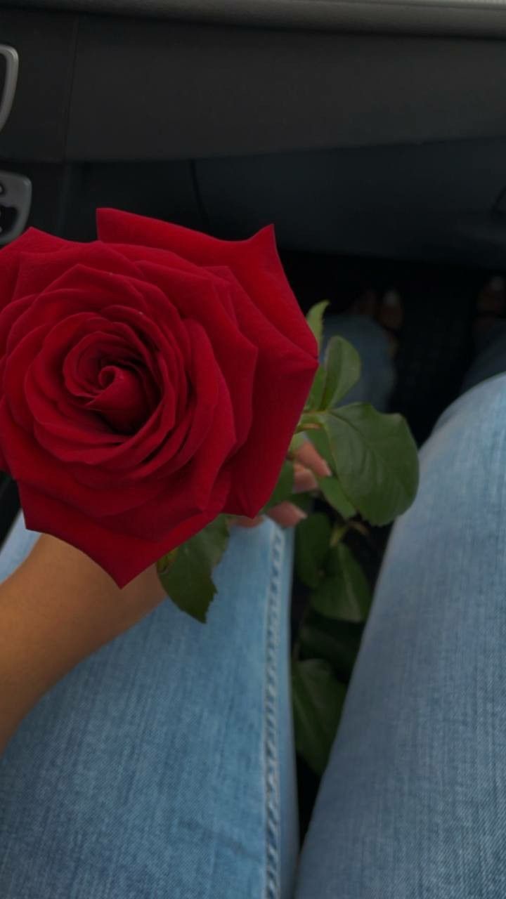 a person is holding a red rose in their hand while sitting in a car seat