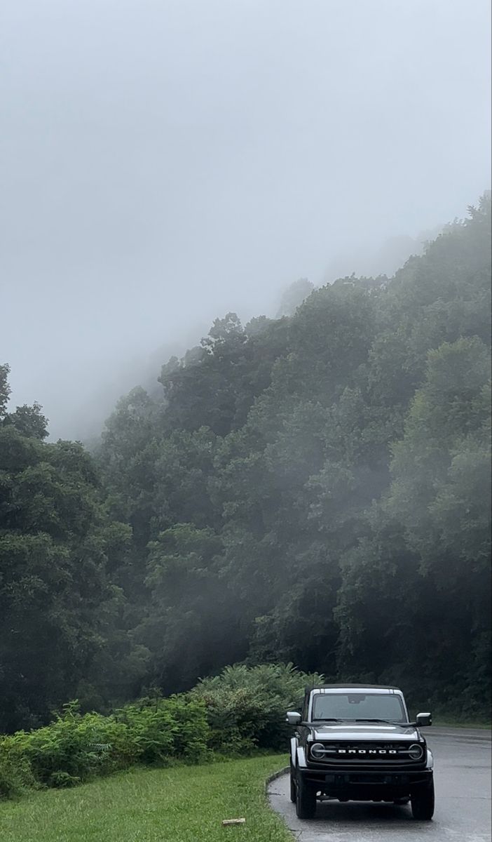 a black truck driving down a road next to lush green trees on a foggy day