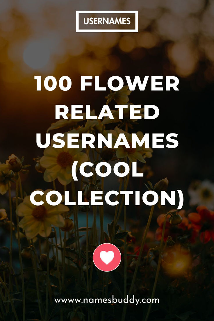 Flower Usernames Love Rose, Amazing Flowers, Blossom, Daisy, Roses, The 100, Flowers, Beauty