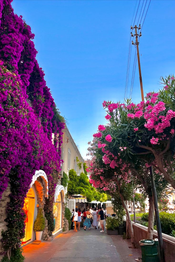 people are walking down the street in front of purple flowers on trees and buildings with white trim