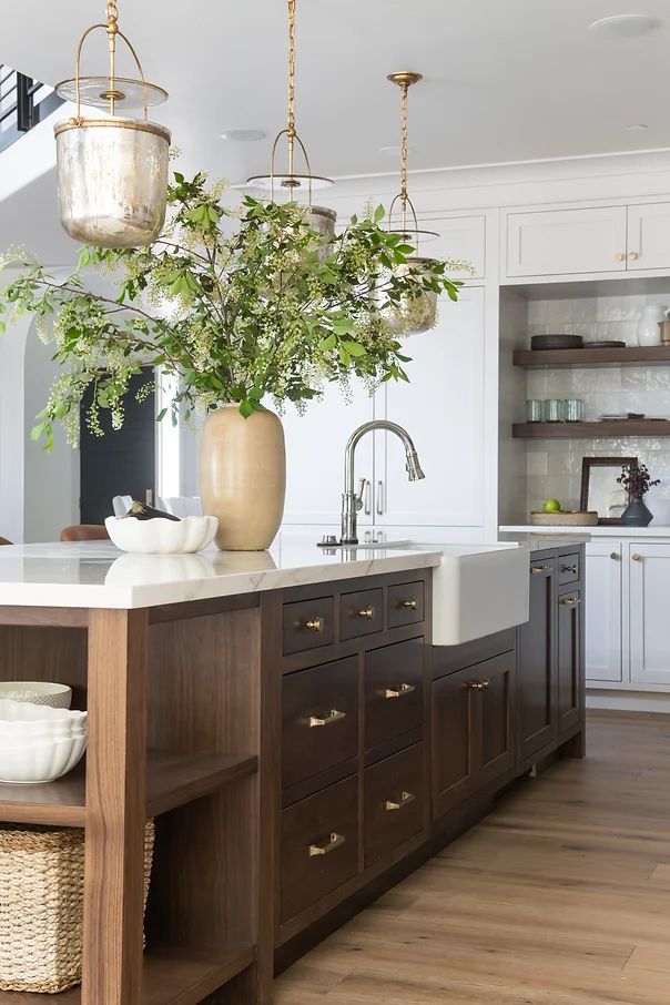 a kitchen with an island, sink and potted plants on it's counter