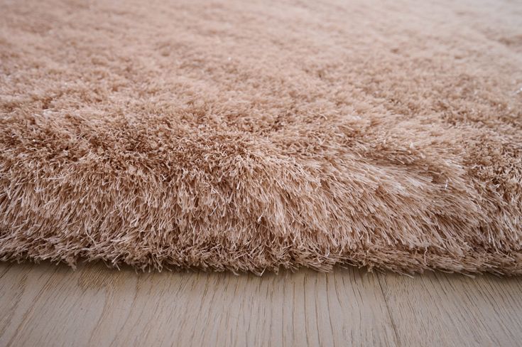 an area rug is shown on the floor with light colored wood grained surfaces and soft shag