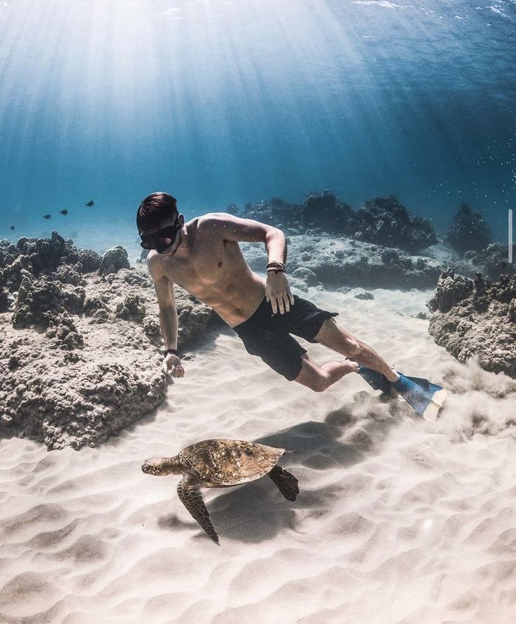 a man swimming in the ocean next to a turtle