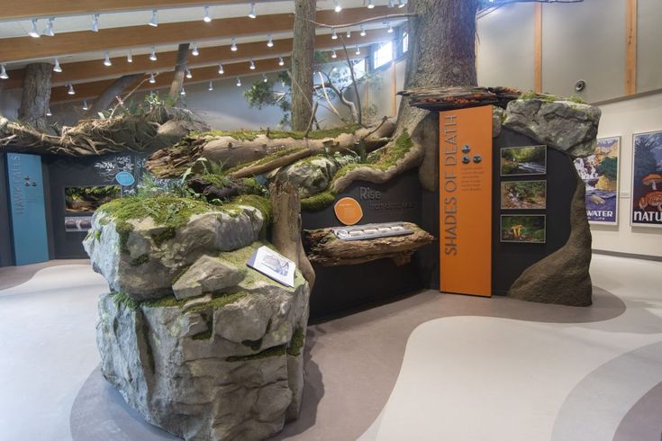 an exhibit with trees and rocks on display