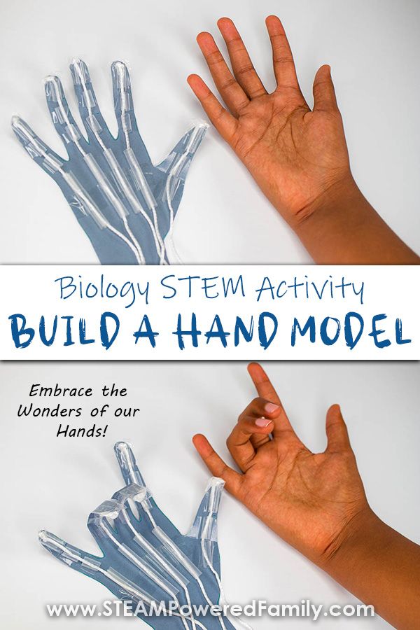 two hands are shown with the words build a hand model