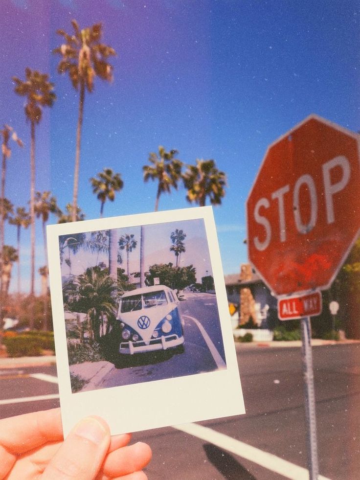 a person holding up a polaroid photo in front of a stop sign and palm trees