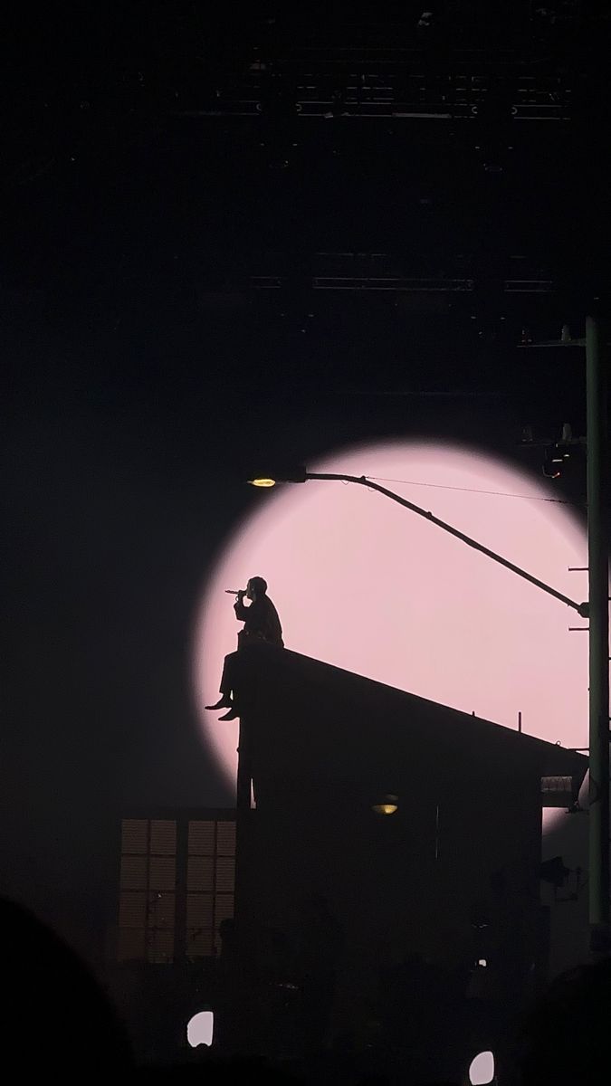 a man standing on top of a roof next to a street light at night with the moon in the background