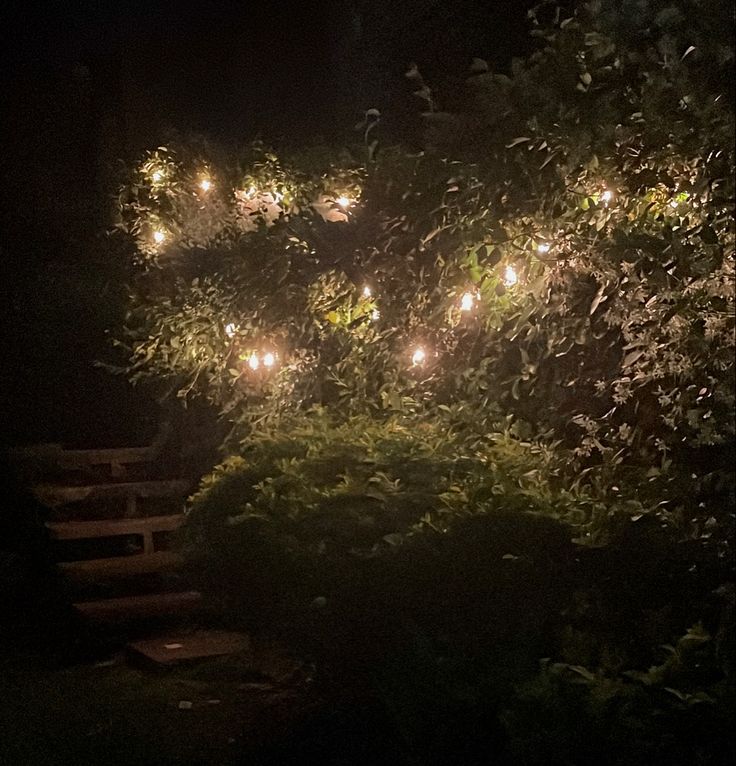 some lights that are on the side of a tree in the night time with stairs leading up to it