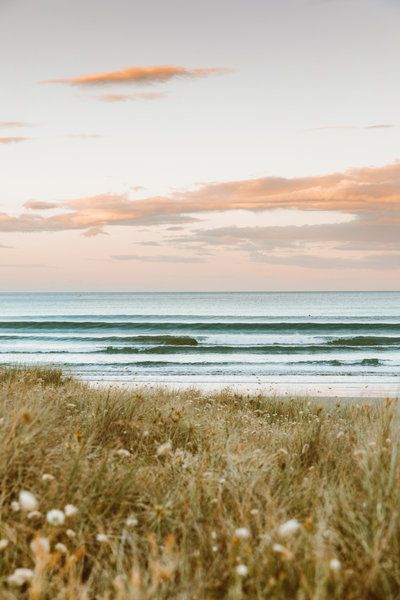 an ocean view with waves coming in from the shore and grass growing on the beach