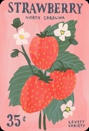 a strawberry label with white flowers and green leaves on pink background, which reads strawberry north carolina 35 cents