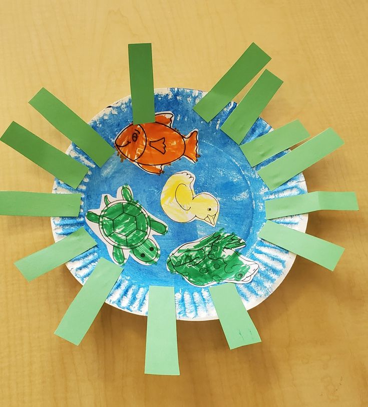 a paper plate with fish and turtle on it sitting on top of a wooden table