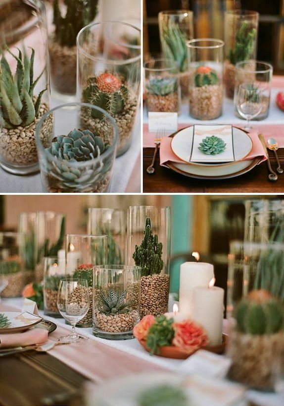 there are many succulents in glass vases on the table with candles