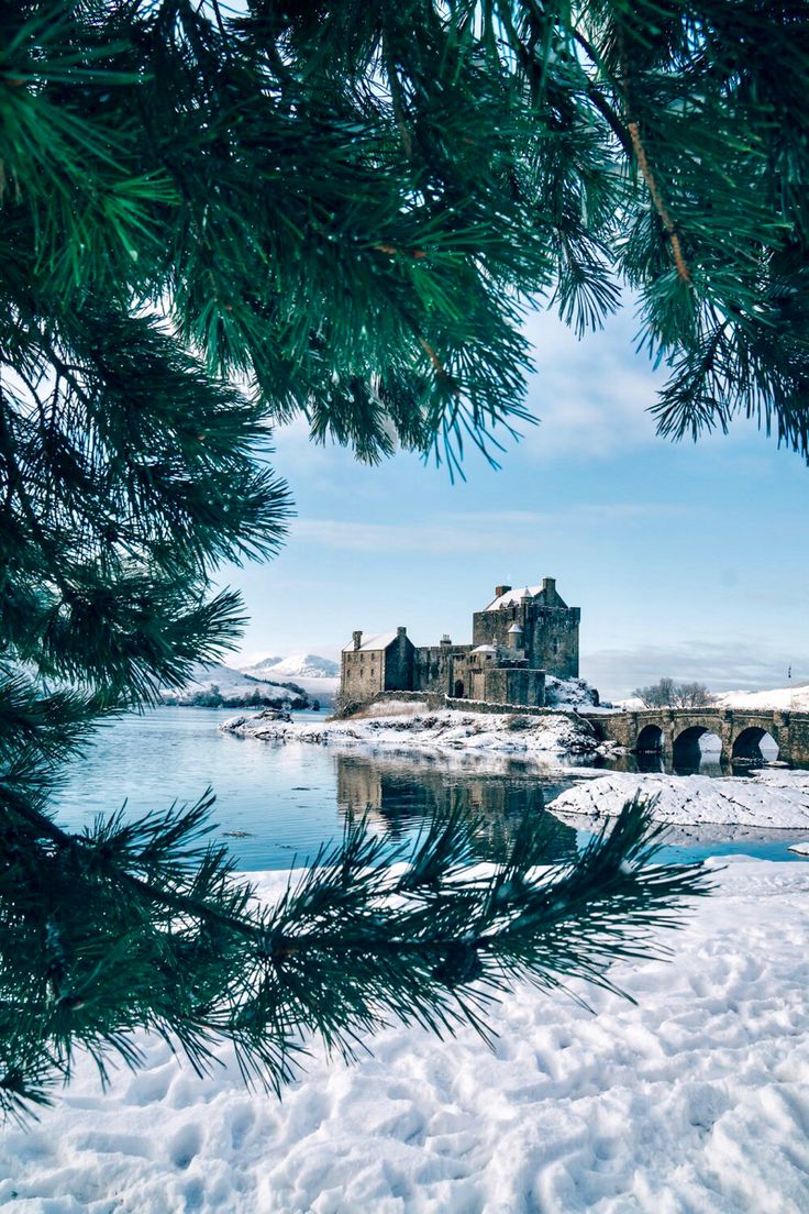 the castle is surrounded by snow and pine trees, with water in the foreground