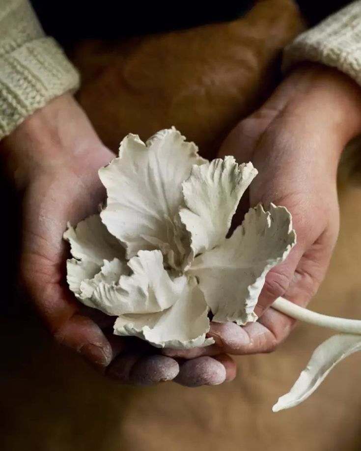 a person holding a white flower in their hands